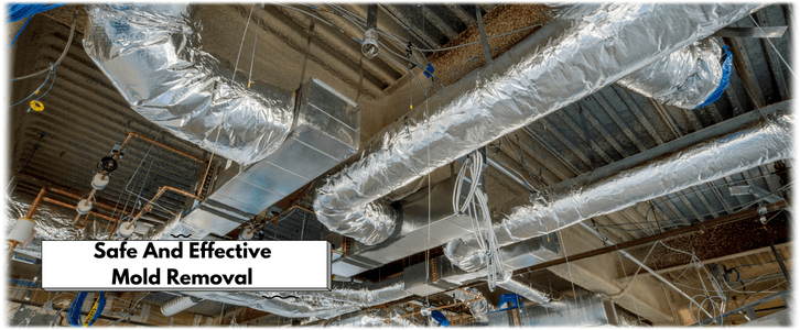 Air Duct Mold Removal in North Miami