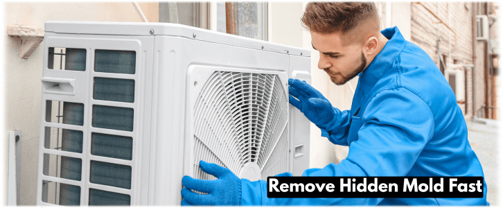 HVAC Mold Removal North Miami